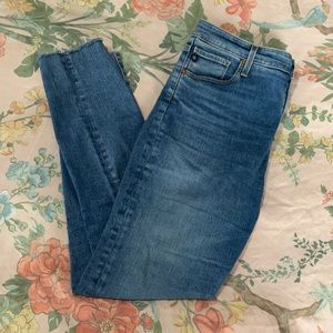 AG Adriano Goldschmied Farrah Skinny Ankle Jean